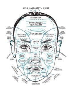 Läran om ansiktsdiagnostik har flera medlemmar använt sig av...